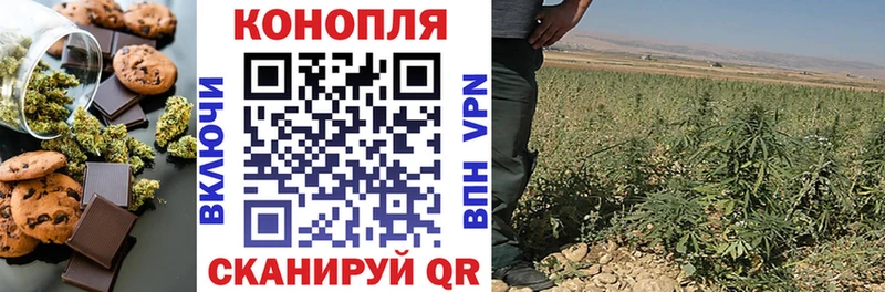 купить  сайты  shop телеграм  Еда ТГК конопля  Ладушкин 