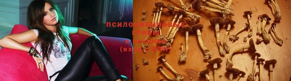 spice Абаза