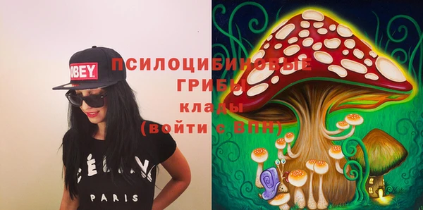 spice Абаза